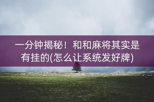 一分钟揭秘！和和麻将其实是有挂的(怎么让系统发好牌)