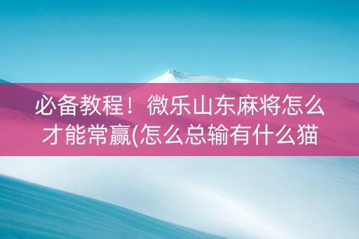 必备教程！微乐山东麻将怎么才能常赢(怎么总输有什么猫腻)