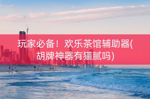 玩家必备！欢乐茶馆辅助器(胡牌神器有猫腻吗)