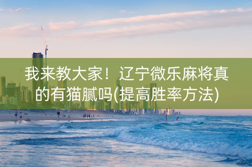 我来教大家！辽宁微乐麻将真的有猫腻吗(提高胜率方法)