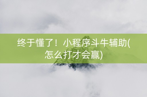 终于懂了！小程序斗牛辅助(怎么打才会赢)