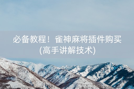 必备教程！雀神麻将插件购买(高手讲解技术)