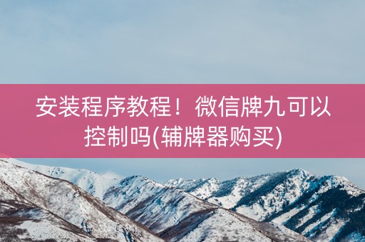安装程序教程！微信牌九可以控制吗(辅牌器购买)