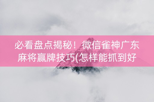 必看盘点揭秘！微信雀神广东麻将赢牌技巧(怎样能抓到好牌)