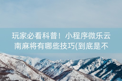 玩家必看科普！小程序微乐云南麻将有哪些技巧(到底是不是有挂)