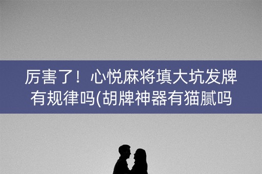 厉害了！心悦麻将填大坑发牌有规律吗(胡牌神器有猫腻吗)