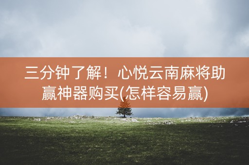 三分钟了解！心悦云南麻将助赢神器购买(怎样容易赢)