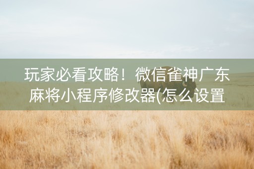 玩家必看攻略！微信雀神广东麻将小程序修改器(怎么设置能有好牌)