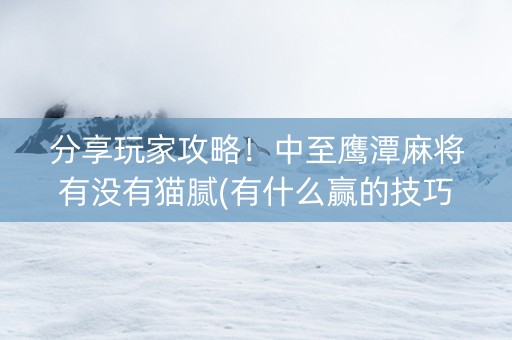 分享玩家攻略！中至鹰潭麻将有没有猫腻(有什么赢的技巧)