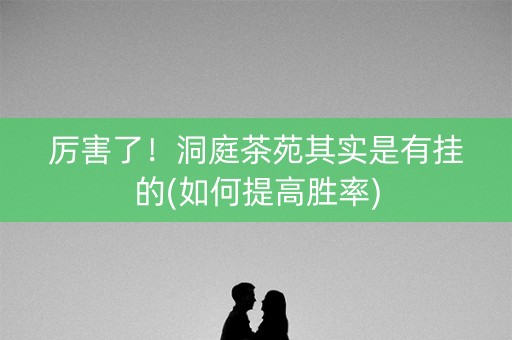 厉害了！洞庭茶苑其实是有挂的(如何提高胜率)