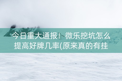 今日重大通报！微乐挖坑怎么提高好牌几率(原来真的有挂)