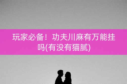 玩家必备！功夫川麻有万能挂吗(有没有猫腻)