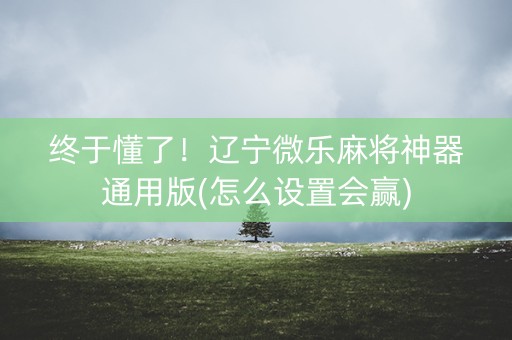 终于懂了！辽宁微乐麻将神器通用版(怎么设置会赢)