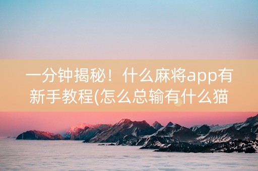 一分钟揭秘！什么麻将app有新手教程(怎么总输有什么猫腻)