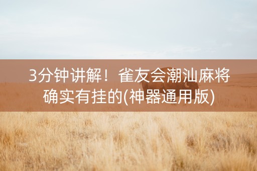 3分钟讲解！雀友会潮汕麻将确实有挂的(神器通用版)