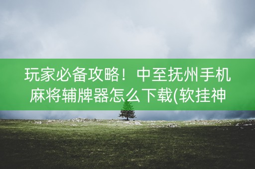 玩家必备攻略！中至抚州手机麻将辅牌器怎么下载(软挂神器)