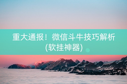 重大通报！微信斗牛技巧解析(软挂神器)