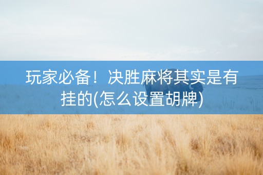 玩家必备！决胜麻将其实是有挂的(怎么设置胡牌)