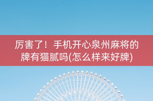 厉害了！手机开心泉州麻将的牌有猫腻吗(怎么样来好牌)