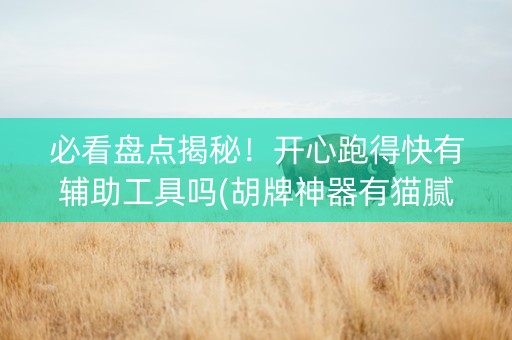 必看盘点揭秘！开心跑得快有辅助工具吗(胡牌神器有猫腻吗)