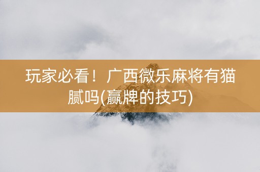 玩家必看！广西微乐麻将有猫腻吗(赢牌的技巧)
