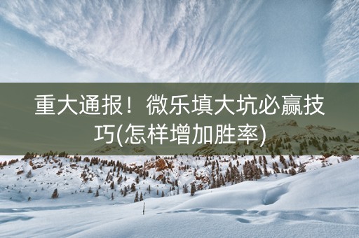 重大通报！微乐填大坑必赢技巧(怎样增加胜率)