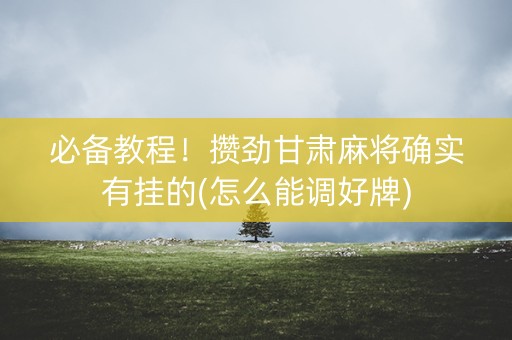 必备教程！攒劲甘肃麻将确实有挂的(怎么能调好牌)