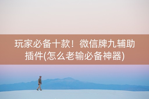 玩家必备十款！微信牌九辅助插件(怎么老输必备神器)