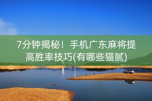 7分钟揭秘！手机广东麻将提高胜率技巧(有哪些猫腻)