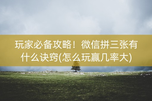 玩家必备攻略！微信拼三张有什么诀窍(怎么玩赢几率大)