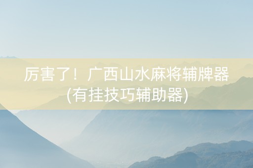 厉害了！广西山水麻将辅牌器(有挂技巧辅助器)