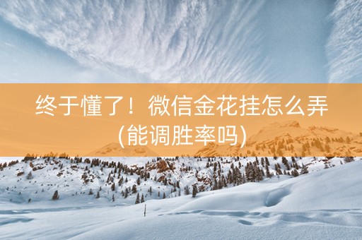 终于懂了！微信金花挂怎么弄(能调胜率吗)