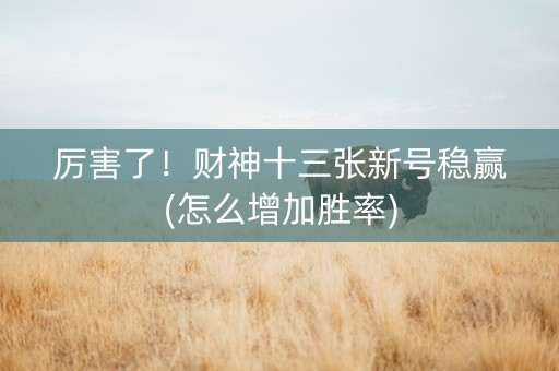 厉害了！财神十三张新号稳赢(怎么增加胜率)
