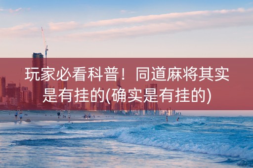 玩家必看科普！同道麻将其实是有挂的(确实是有挂的)