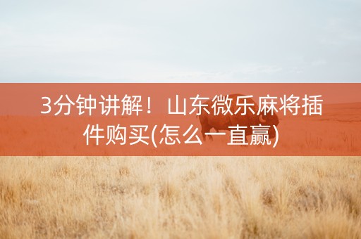 3分钟讲解！山东微乐麻将插件购买(怎么一直赢)