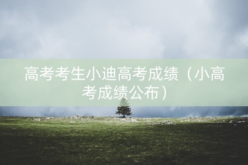 高考考生小迪高考成绩（小高考成绩公布）