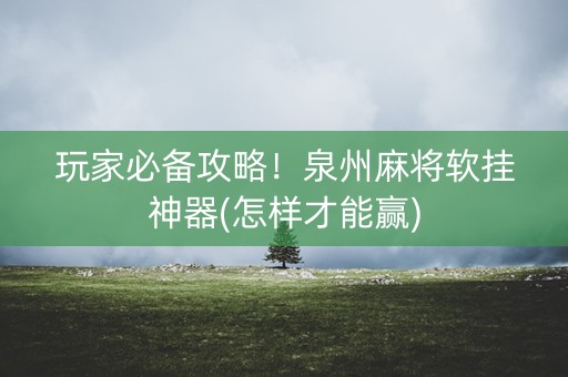 玩家必备攻略！泉州麻将软挂神器(怎样才能赢)