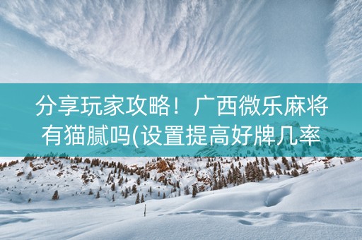 分享玩家攻略！广西微乐麻将有猫腻吗(设置提高好牌几率)