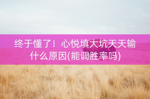 终于懂了！心悦填大坑天天输什么原因(能调胜率吗)