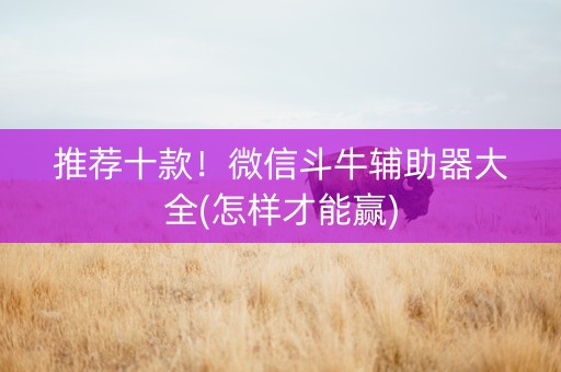 推荐十款！微信斗牛辅助器大全(怎样才能赢)