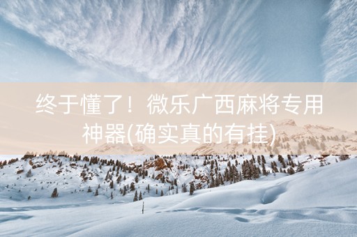 终于懂了！微乐广西麻将专用神器(确实真的有挂)