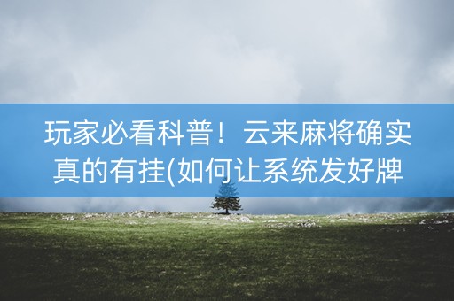 玩家必看科普！云来麻将确实真的有挂(如何让系统发好牌)