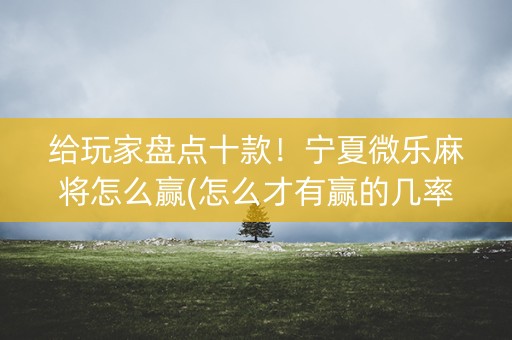 给玩家盘点十款！宁夏微乐麻将怎么赢(怎么才有赢的几率)