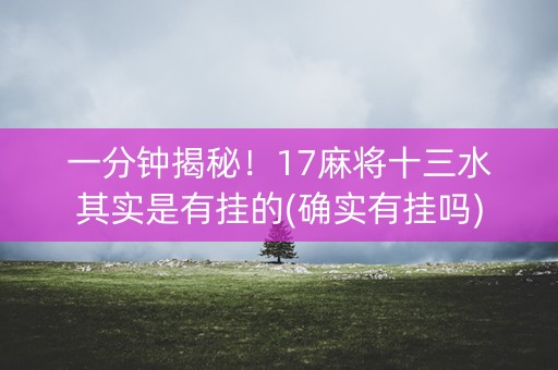 一分钟揭秘！17麻将十三水其实是有挂的(确实有挂吗)