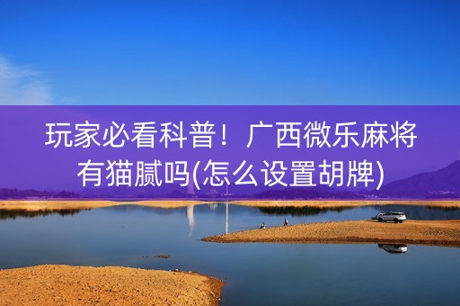 玩家必看科普！广西微乐麻将有猫腻吗(怎么设置胡牌)