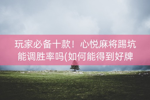 玩家必备十款！心悦麻将踢坑能调胜率吗(如何能得到好牌)