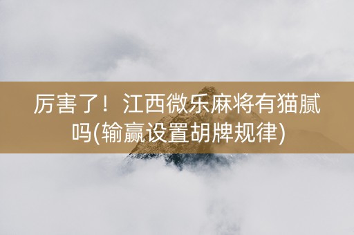 厉害了！江西微乐麻将有猫腻吗(输赢设置胡牌规律)
