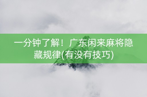 一分钟了解！广东闲来麻将隐藏规律(有没有技巧)