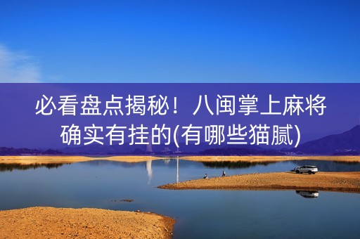 必看盘点揭秘！八闽掌上麻将确实有挂的(有哪些猫腻)