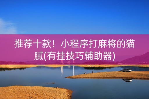 推荐十款！小程序打麻将的猫腻(有挂技巧辅助器)